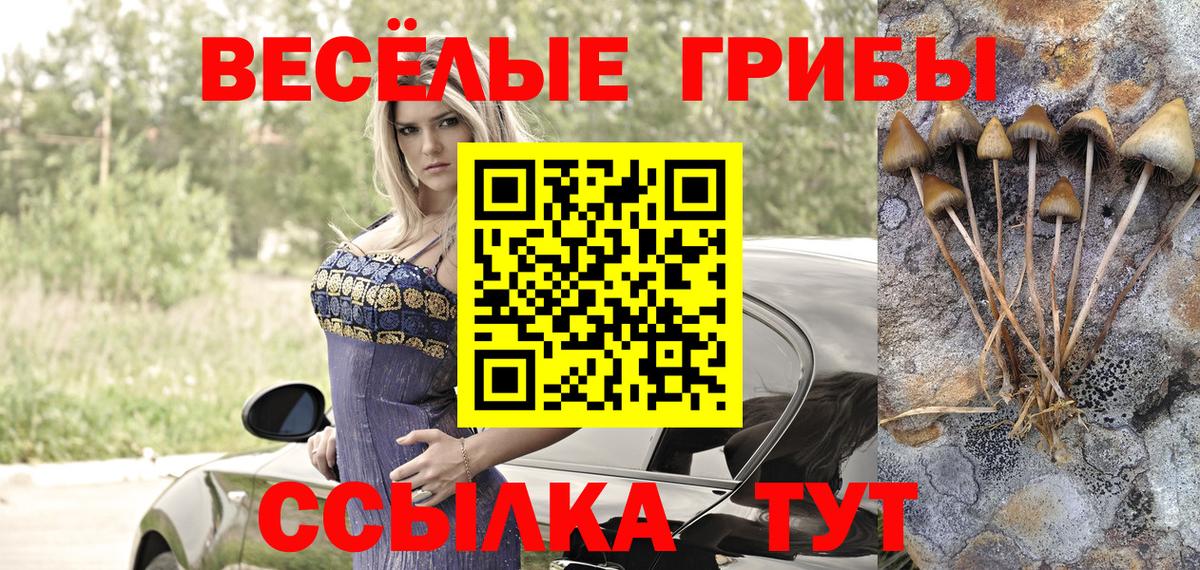 Псилоцибиновые грибы прущие грибы Отрадное