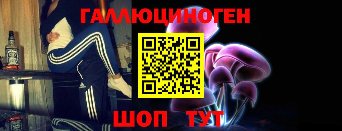 Отрадное  Галлюциногенные грибы Psilocybine cubensis  Галлюциногенные грибы мицелий  Вход с VPN 